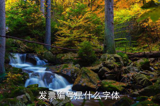 發(fā)票上的號碼是什么字體，發(fā)票編號是什么字體