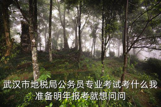 省地稅局復(fù)試考什么，武漢市地稅局公務(wù)員專業(yè)考試考什么我準(zhǔn)備明年報考就想問問