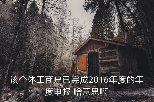 個(gè)體戶申報(bào)是什么意思，該個(gè)體工商戶已完成2016年度的年度申報(bào) 啥意思啊