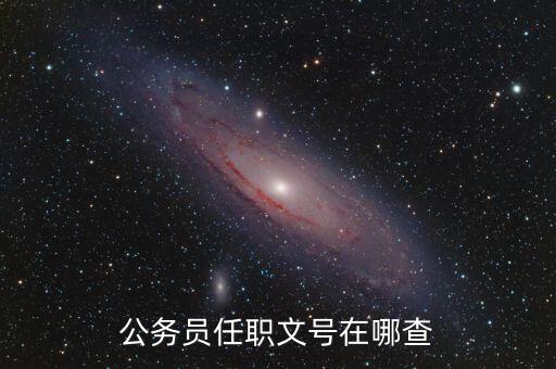 什么地方可以查任職文號，公務(wù)員任職文號在哪查