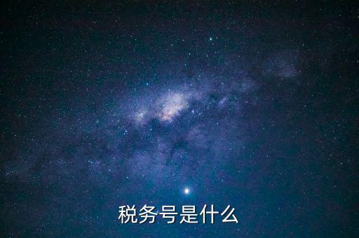 什么是稅務(wù)登記號(hào)，稅務(wù)號(hào)是什么