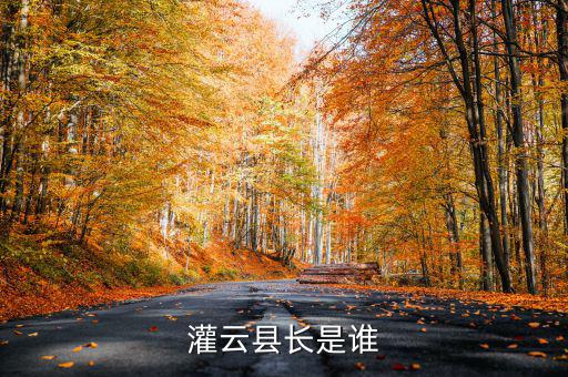 灌云國稅局局長叫什么，國家稅務(wù)局局長叫什么