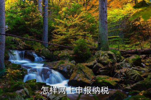 怎樣網上申報納稅