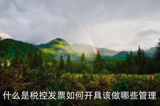 申請稅控是什么，什么是稅控盤申請稅控盤需要什么手續(xù)