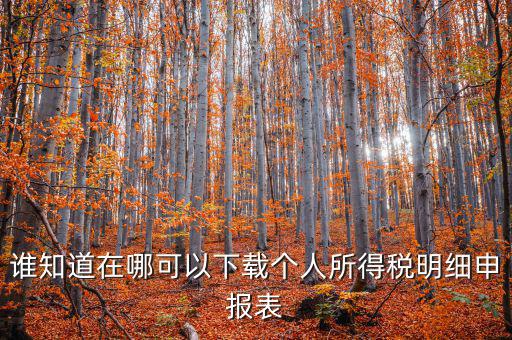 下載什么看申報(bào)稅，誰(shuí)知道在哪可以下載個(gè)人所得稅明細(xì)申報(bào)表