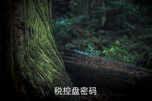 稅控盤證書密碼是什么意思，稅控盤上報匯總密碼是什么