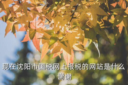 國稅交稅的網(wǎng)站是什么，現(xiàn)在沈陽市國稅網(wǎng)上報(bào)稅的網(wǎng)站是什么 謝謝