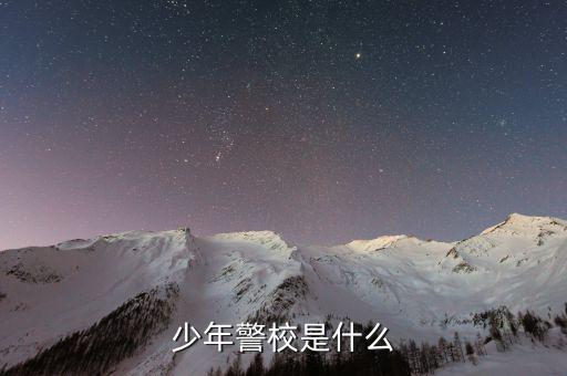 少年稅校是什么，少年警校是什么