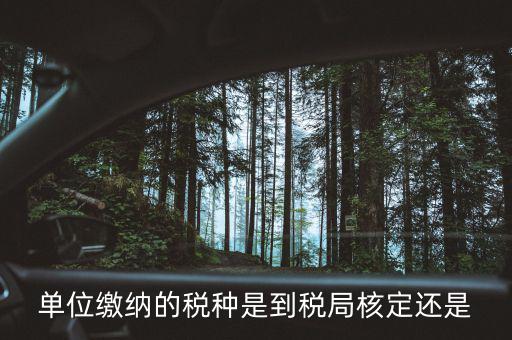 什么時(shí)候 稅種核定，單位繳納的稅種是到稅局核定還是