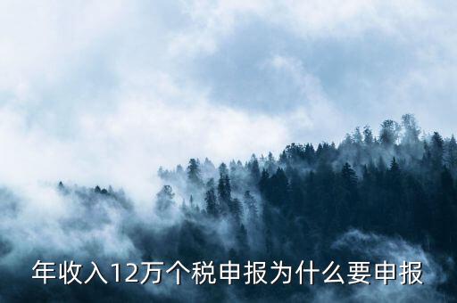 為什么12萬(wàn)要申報(bào)表，每個(gè)月都已繳納為什么年收入超過(guò)12萬(wàn)還需要再申報(bào)