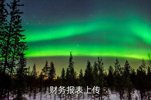 每年上傳什么財(cái)務(wù)報(bào)表，報(bào)哪些稅時(shí)需要上傳財(cái)務(wù)報(bào)表麻煩詳細(xì)一點(diǎn)報(bào)增值稅時(shí)怎樣上傳財(cái)