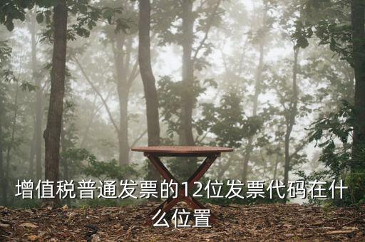 12位發(fā)票代碼是什么，增值稅普通發(fā)票的12位發(fā)票代碼在什么位置