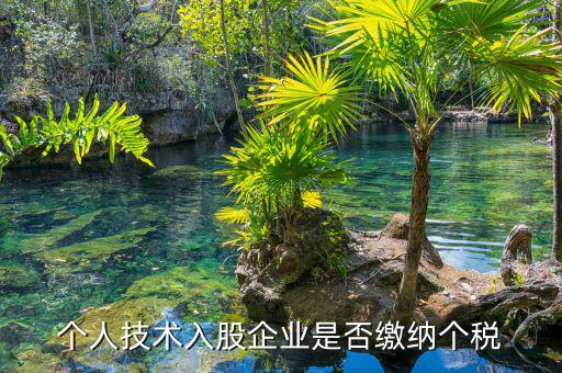 個(gè)人專利入股繳什么稅，請教稅法高手個(gè)人專利技術(shù)入股需繳稅嗎