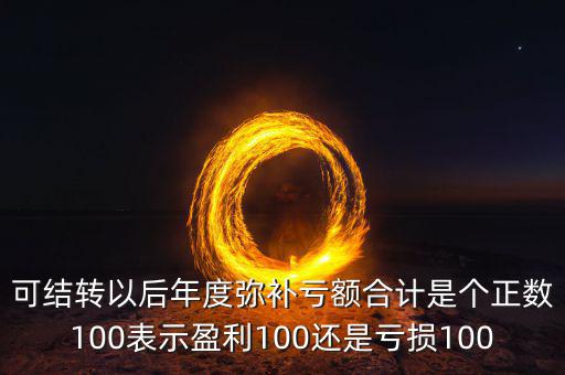可結(jié)轉(zhuǎn)以后年度彌補(bǔ)虧額合計(jì)是個正數(shù)100表示盈利100還是虧損100