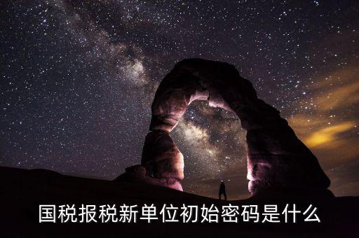 國(guó)稅申報(bào)登錄密碼是什么，抄報(bào)稅密碼應(yīng)該是什么啊