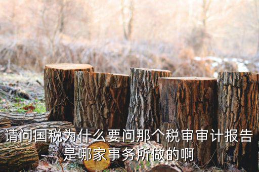 請(qǐng)問國稅為什么要問那個(gè)稅審審計(jì)報(bào)告是哪家事務(wù)所做的啊