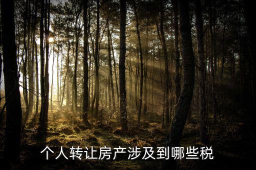 個(gè)人出售住房交什么稅，賣房子要交20的稅