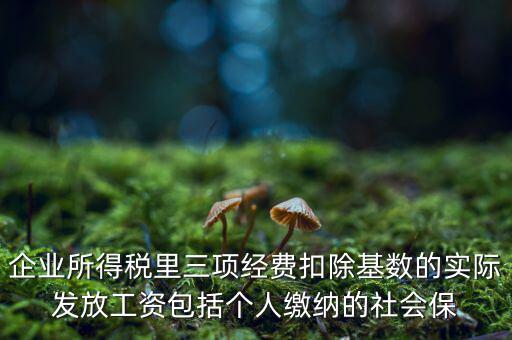 企業(yè)所得稅扣除基數(shù)指什么，企業(yè)所得稅里三項(xiàng)經(jīng)費(fèi)扣除基數(shù)的實(shí)際發(fā)放工資包括個(gè)人繳納的社會(huì)保