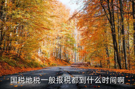 國稅上報(bào)省局什么時(shí)候，國稅地稅網(wǎng)上報(bào)稅時(shí)間
