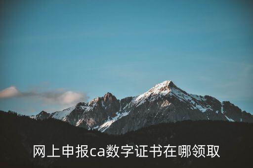 申報領取什么CA，財務報稅的ca通道是什么