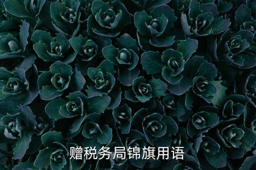 贈(zèng)送稅務(wù)所錦旗寫什么，贈(zèng)稅務(wù)局錦旗用語(yǔ)