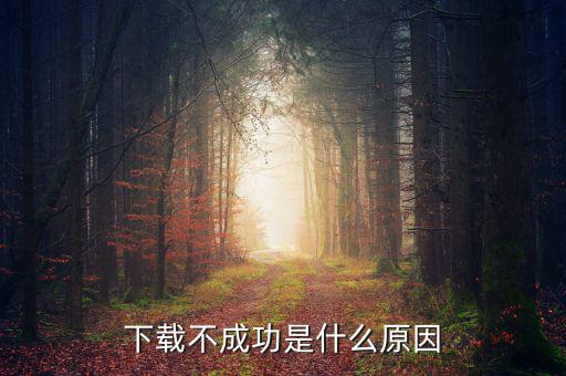 納稅人下載失敗是什么原因，下載東西失敗是什么原因導致