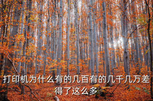 發(fā)票打印機(jī)為什么這么貴，為什么針式打印機(jī)還是那么貴