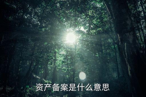 資產備案是什么意思