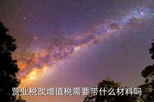 營(yíng)業(yè)稅改增值稅需要帶什么材料嗎