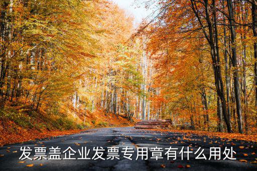 發(fā)票專用章有什么用，公司的發(fā)票專用章是干嘛用的