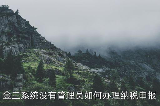 金三申報申報什么意思，申報是什么意思