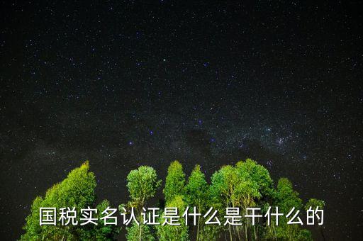 國稅實名制認(rèn)證要什么手續(xù)，國稅實名認(rèn)證是什么是干什么的