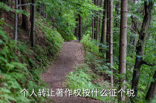 轉(zhuǎn)讓著作權(quán)交什么稅，個人轉(zhuǎn)讓著作權(quán)按什么征個稅
