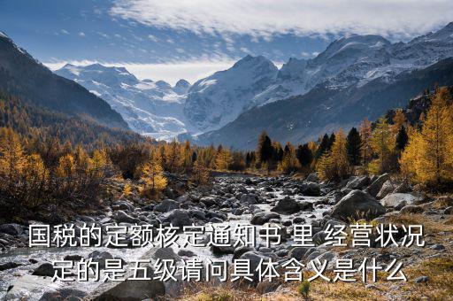 國稅的定額核定通知書 里 經營狀況 定的是五級請問具體含義是什么