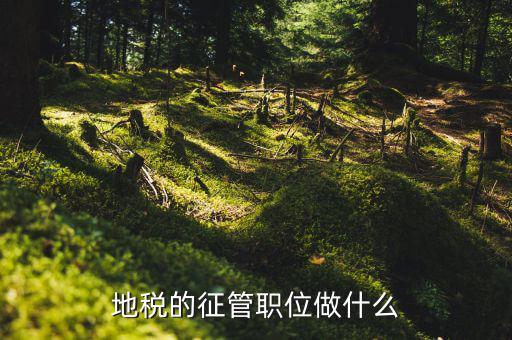 省地稅局是做什么的，地方稅務(wù)局
