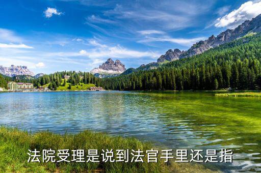 文書受理是什么意思，請(qǐng)問(wèn)雙定調(diào)整受理文書這是什么意思