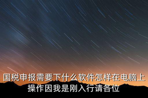 國稅申報(bào)需要下什么軟件怎樣在電腦上操作因我是剛?cè)胄姓?qǐng)各位