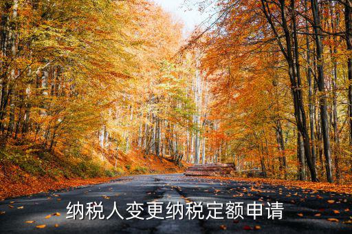 變更納稅定額什么意思，調(diào)整應(yīng)納稅所得額什么意思
