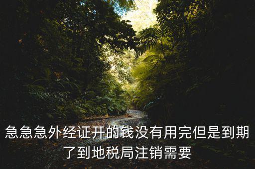 急急急外經(jīng)證開的錢沒(méi)有用完但是到期了到地稅局注銷需要