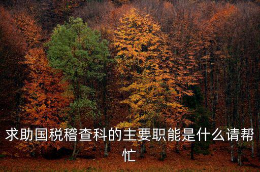 求助國稅稽查科的主要職能是什么請(qǐng)幫忙