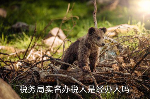 辦稅負責人是什么意思，現(xiàn)在實行的辦稅人員實名登記其中的財務負責人辦稅人員發(fā)票經(jīng)辦人