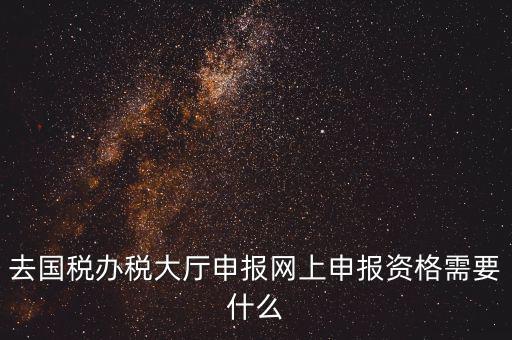 國稅網(wǎng)上申報(bào)用什么，去國稅辦稅大廳申報(bào)網(wǎng)上申報(bào)資格需要什么