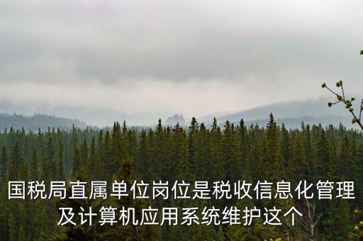 什么是國(guó)稅信息化，信息化在稅務(wù)管理中有什么作用