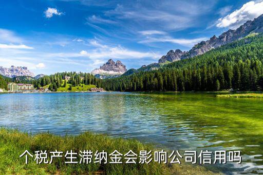 稅收滯納金有什么影響，地稅報稅逾期產生滯納金會對公司有甚么影響