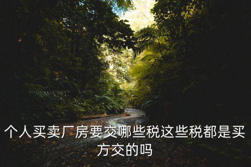 個(gè)人買(mǎi)賣(mài)廠房要交哪些稅這些稅都是買(mǎi)方交的嗎
