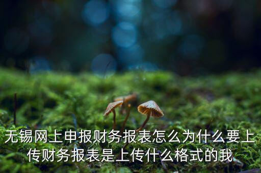 為什么要上傳報表，無錫網(wǎng)上申報財務報表怎么為什么要上傳財務報表是上傳什么格式