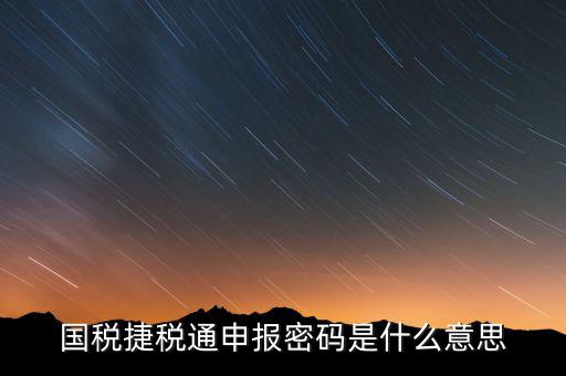 國稅申報登陸密碼是什么意思，國稅第一次網(wǎng)上申報的登陸密碼是什么