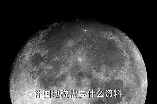 深圳國稅補報稅需要什么資料，補國地稅需要什么資料