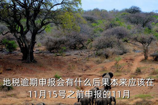 地稅逾期申報(bào)會有什么后果本來應(yīng)該在11月15號之前申報(bào)的11月