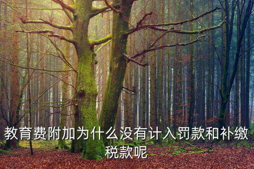 教育費(fèi)附加為什么沒有計入罰款和補(bǔ)繳稅款呢